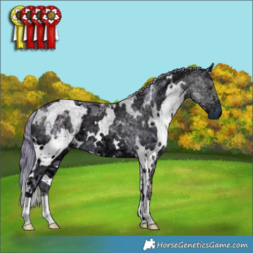 Horse Color:Watercolor White Spotted Chocolate Smoky Black Chinchilla Ice