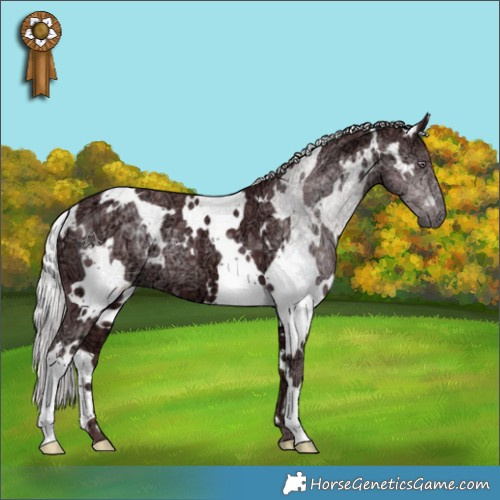 Horse Color:White Spotted Chocolate Silver Smoky Black Chinchilla Ice 