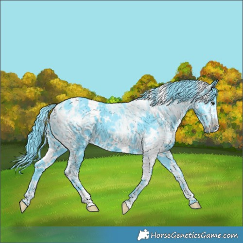Horse Color:Watercolor White Spotted Chocolate Smoky Black Chinchilla Ice 