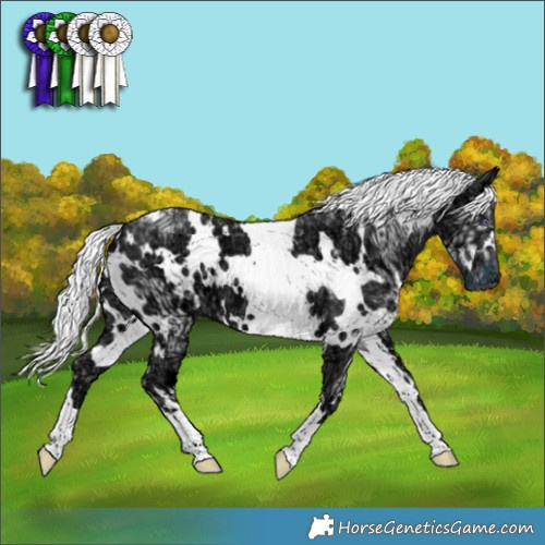 Horse Color:White Spotted Chocolate Silver Smoky Creme Chinchilla Ice 