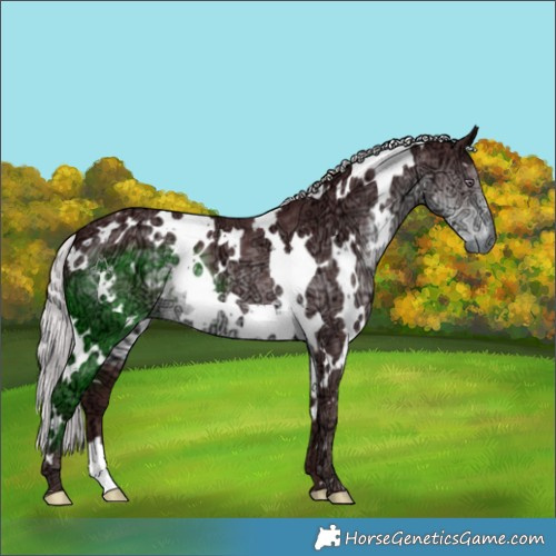 Horse Color:White Spotted Chocolate Silver Smoky Black Chinchilla Ice 