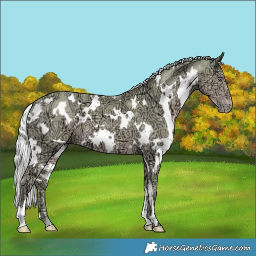 Horse Color:Watercolor White Spotted Chocolate Silver Smoky Creme Chinchilla Ice 
