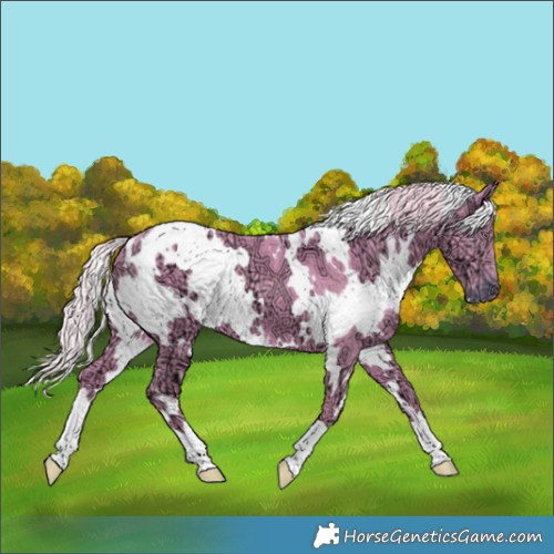 Horse Color:Watercolor White Spotted Chocolate Silver Smoky Black Chinchilla Ice