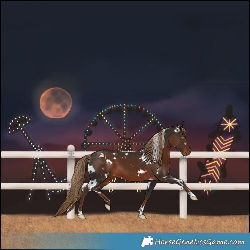 Horse Color:White Spotted Liver Chestnut 