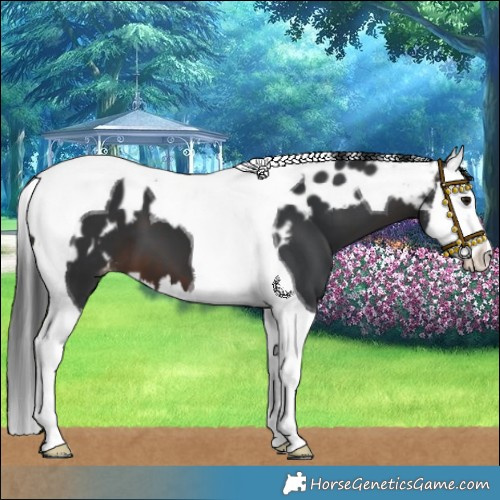 Horse Color:Brown Splash Tobiano Skewed LP Spotted