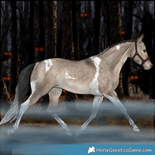 Horse Color:Brown Dun Tobiano Appaloosa Rabicano 