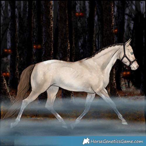 Horse Color:Bay Pearl Dun Tobiano Appaloosa Rabicano