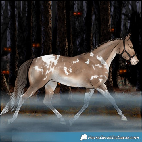 Horse Color:White Spotted Liver Red Dun Tobiano Appaloosa Rabicano
