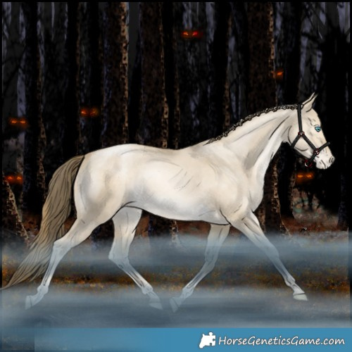 Horse Color:Grullo Snowdrop Pearl Tobiano Appaloosa Rabicano