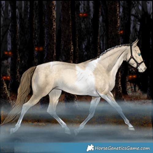 Horse Color:Bay Snowdrop Pearl Dun Tobiano Rabicano