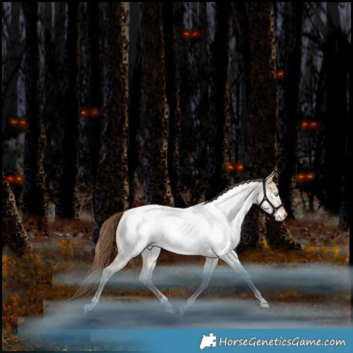 Horse Color:White Spotted Brown Pearl Dun Appaloosa Rabicano 