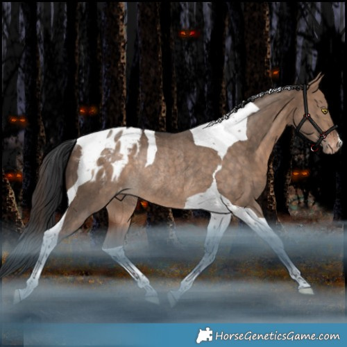 Horse Color:Bay Dun Tobiano Appaloosa Rabicano 