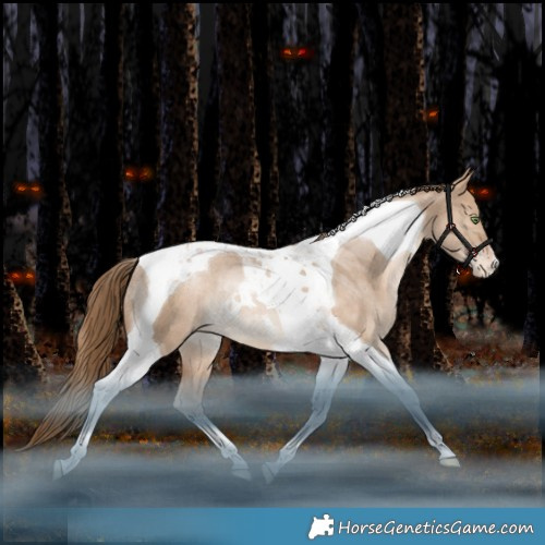 Horse Color:Bay Pearl Dun Tobiano Appaloosa Rabicano 