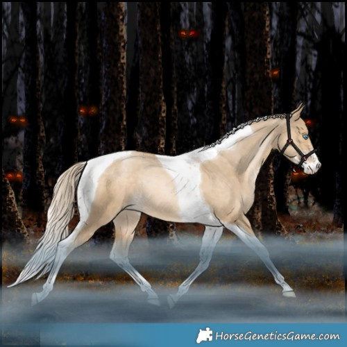 Horse Color:Liver Red Dun Snowdrop Pearl Sabino Tobiano Appaloosa Rabicano 