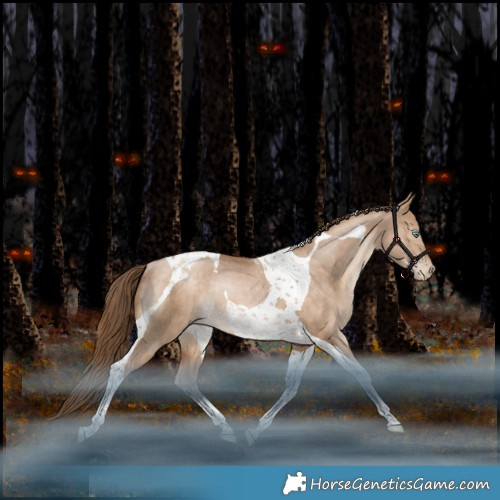 Horse Color:Bay Pearl Dun Tobiano Rabicano 
