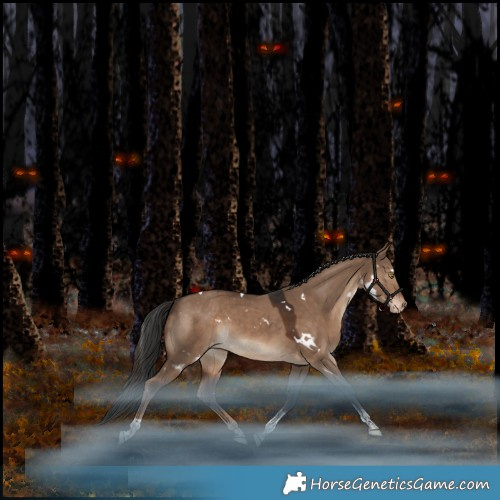 Horse Color:White Spotted Liver Red Dun Tobiano Appaloosa Rabicano