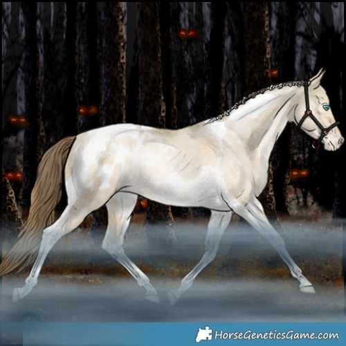 Horse Color:Bay Snowdrop Pearl Dun Tobiano Appaloosa Rabicano 