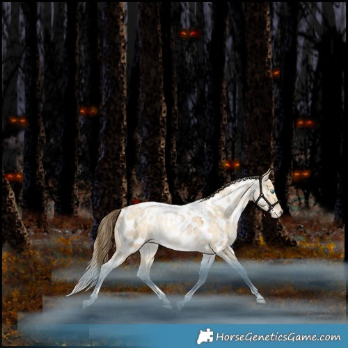 Horse Color:White Spotted Brown Snowdrop Pearl Dun Tobiano Appaloosa Rabicano 