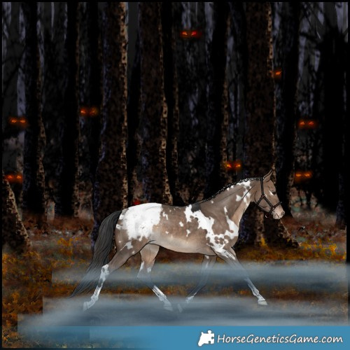 Horse Color:White Spotted Bay Dun Appaloosa Rabicano