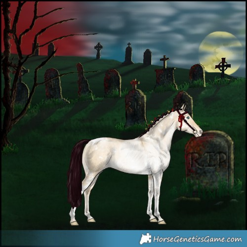 Horse Color:White Spotted Bay Snowdrop Pearl Dun Tobiano Appaloosa Rabicano 