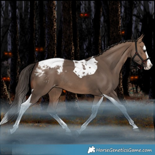 Horse Color:Bay Dun Splash Tobiano Appaloosa Rabicano 