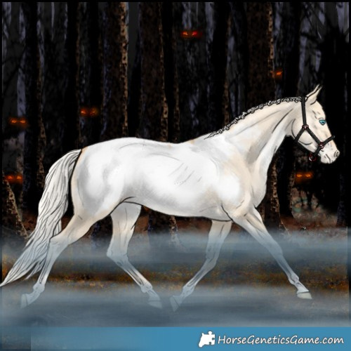 Horse Color:White Spotted Silver Bay Snowdrop Pearl Dun Tobiano Appaloosa Rabicano