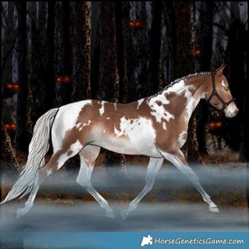 Horse Color:White Spotted Silver Brown Mushroom Tobiano Rabicano 