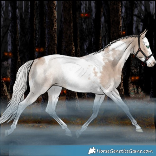 Horse Color:Silver Brown Dun Mushroom Splash Tobiano Rabicano 