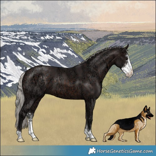 Horse Color:Silver Brown Ice Sabino