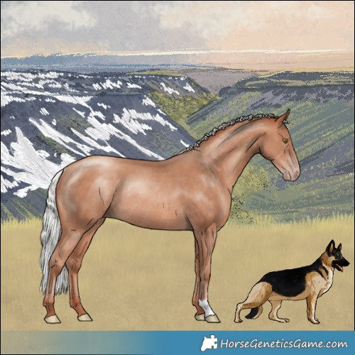 Horse Color:Silver Sable Champagne Rabicano