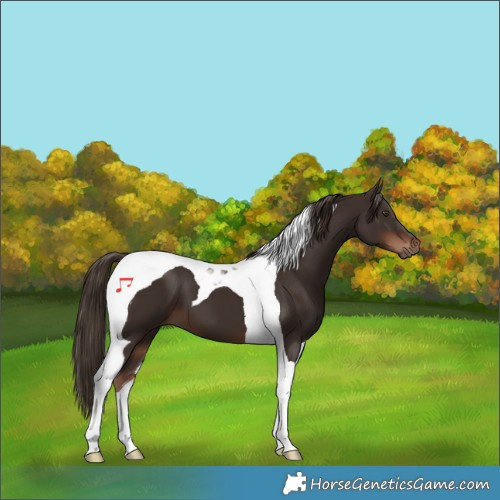 Horse Color:Liver Chestnut Tobiano 