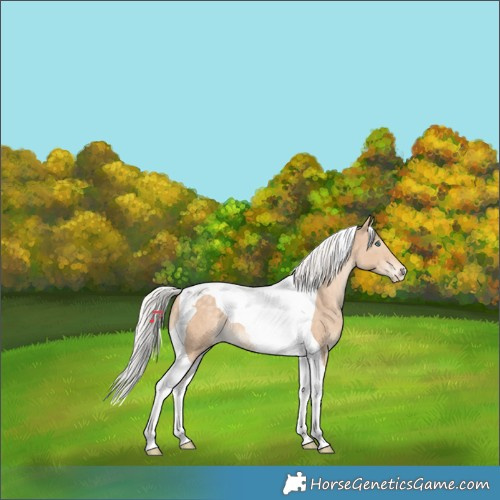 Horse Color:Silver Perlino Tobiano