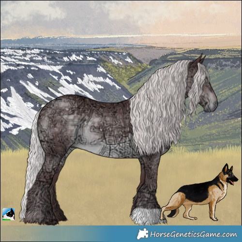Horse Color:Chocolate Silver Black Chinchilla Ice 