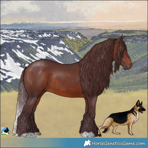 Horse Color:Chocolate Brown Rabicano