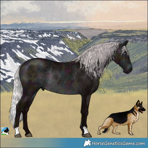 Horse Color:Midnight Chocolate Silver Brown Chinchilla Rabicano 