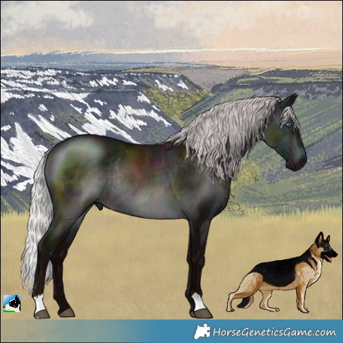 Horse Color:Midnight Chocolate Silver Brown Chinchilla Rabicano 