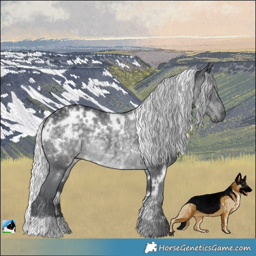 Horse Color:White Spotted Silver Black Chinchilla Rabicano 