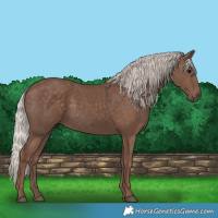 Horse Color:Silver Black 