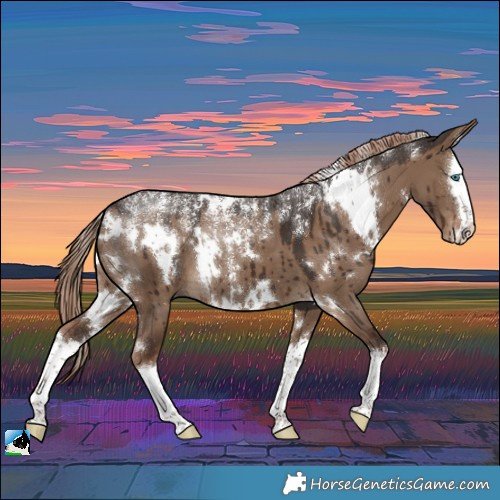 Horse Color:Powder White White Spotted Liver Red Dun Splash Brindle 