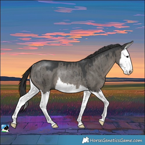 Horse Color:Grullo Splash Rabicano Brindle 