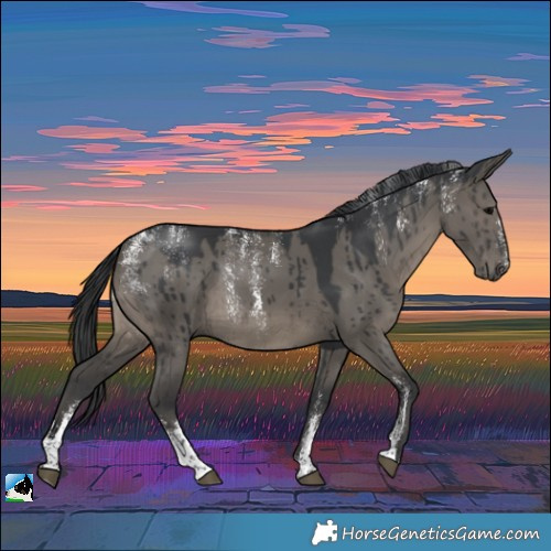 Horse Color:Powder White Grullo Rabicano Brindle