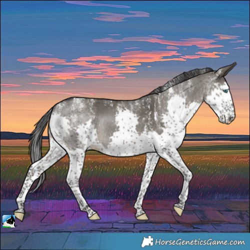 Horse Color:Powder White Grullo Splash Rabicano Brindle