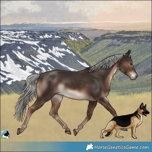 Horse Color:Liver Chestnut Mushroom