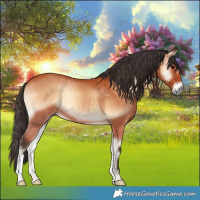 Horse Color:Bay Onyx 