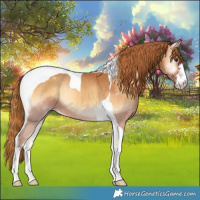 Horse Color:Red Onyx Tobiano 