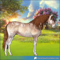 Horse Color:Red Onyx Ice