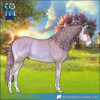 Horse Color:Watercolor Red Onyx