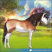 Horse Color:Bay Onyx Splash