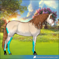 Horse Color:Red Dun Onyx 