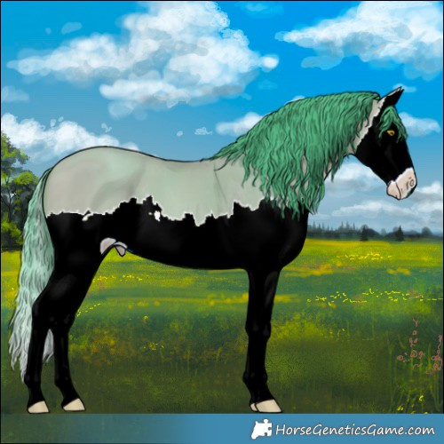 Horse Color:Watercolor Amber Champagne Splash 